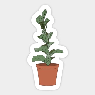 Fiddle Leaf Fig Sticker